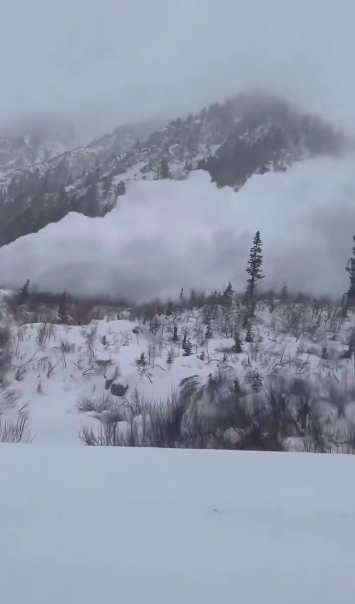 Avalanche fecha rodovia em Utah enquanto EUA enfrentam tempestade de inverno histórica; VEJA VÍDEO