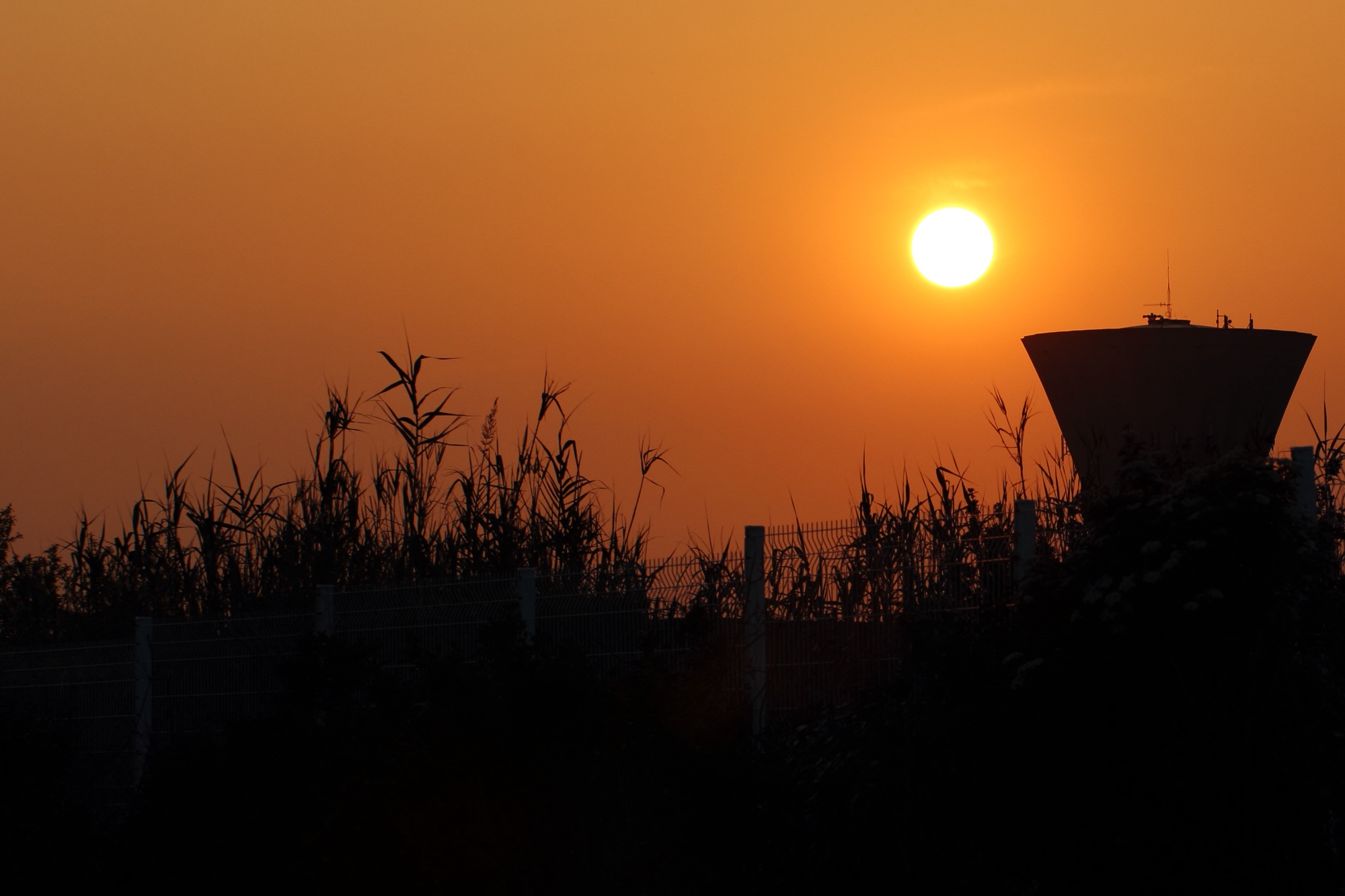O Sol está altamente ativo. Tempestades solares intensas e apagões são esperados