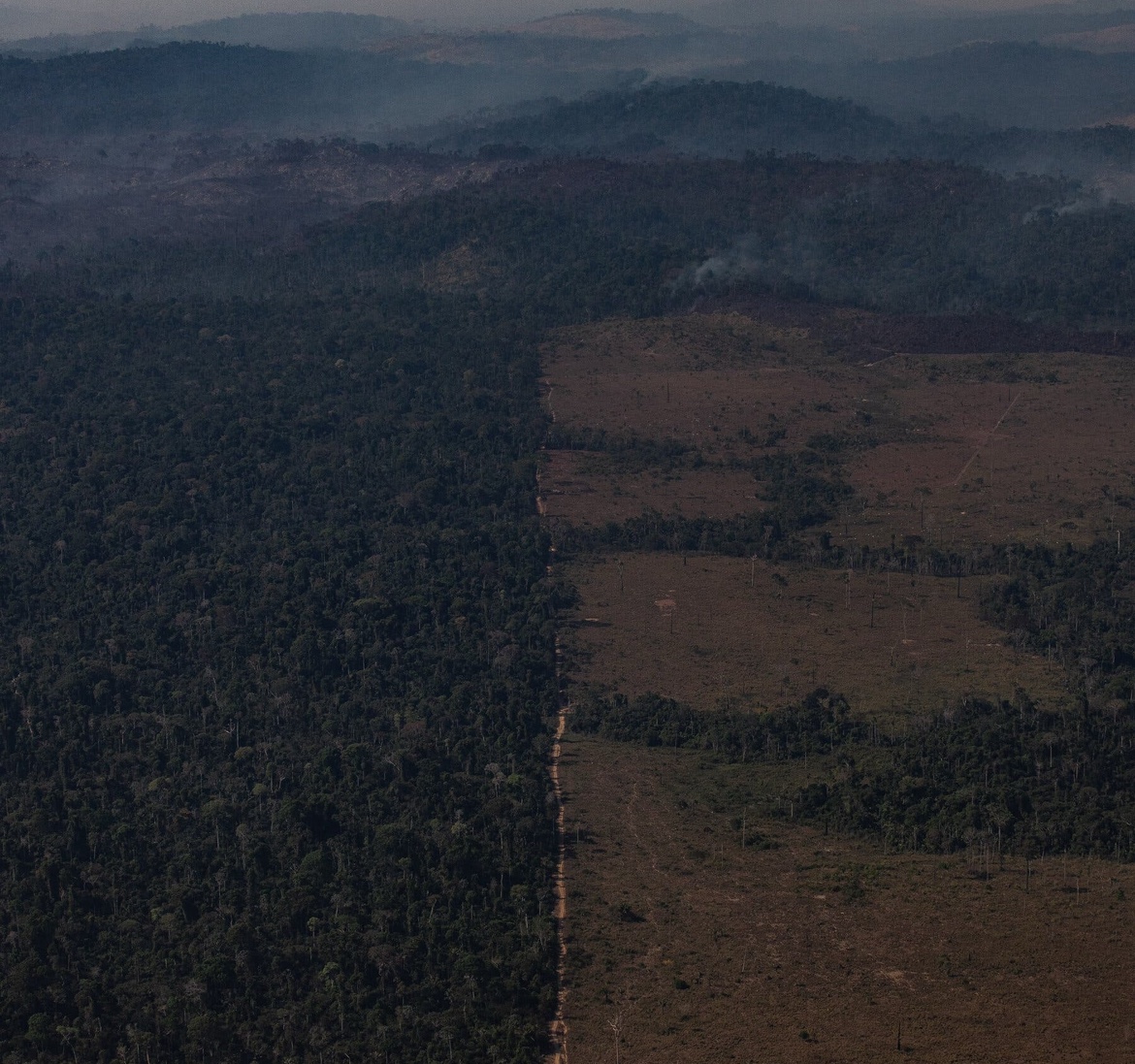 Brasil é responsável por 70% da perda de florestas do mundo, diz ONU