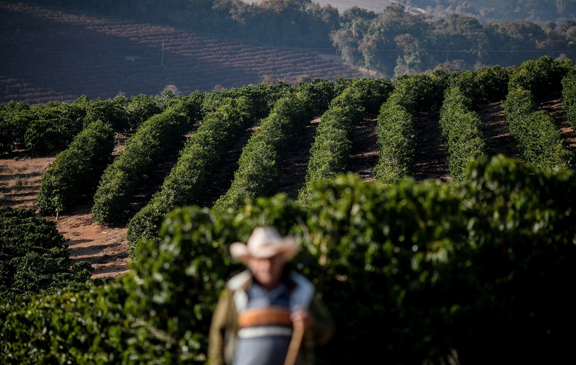 “Piorou para o Brasil”, diz setor do café após redução de tarifas globais dos EUA
