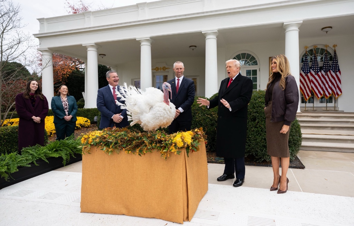 Trump concede perdão aos perus do Dia de Ação de Graças nos EUA
