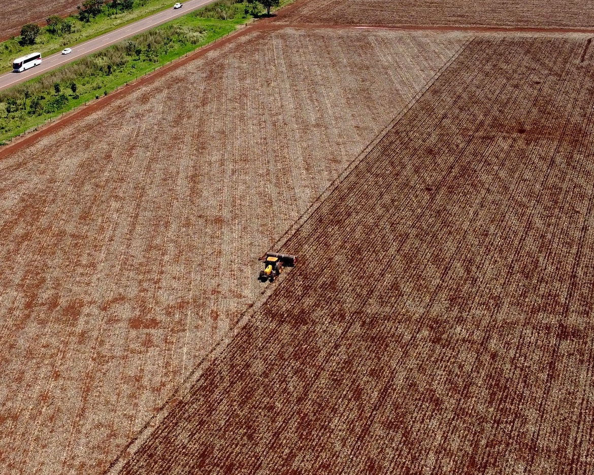 China suspende compra de soja de cinco unidades brasileiras
