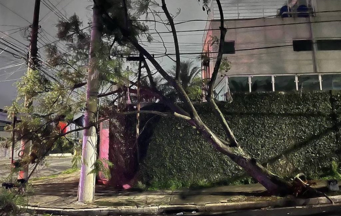 Grande São Paulo amanhece com 1,5 milhão de imóveis sem energia após vendaval