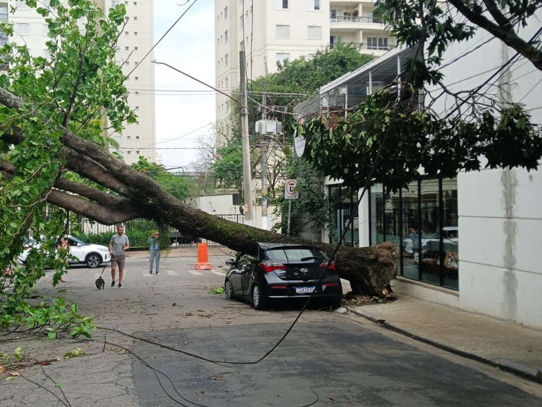 50h após vendaval histórico, mais de 760 mil imóveis continuam sem energia na Grande São Paulo